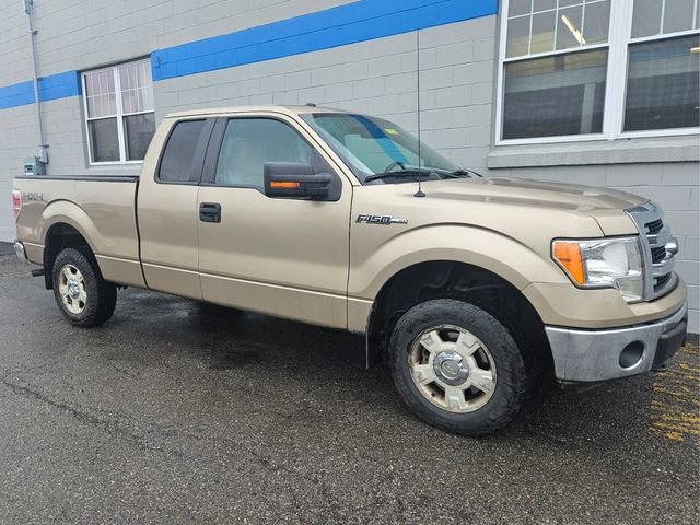 Used 2013 Champagne Ford XL image 3