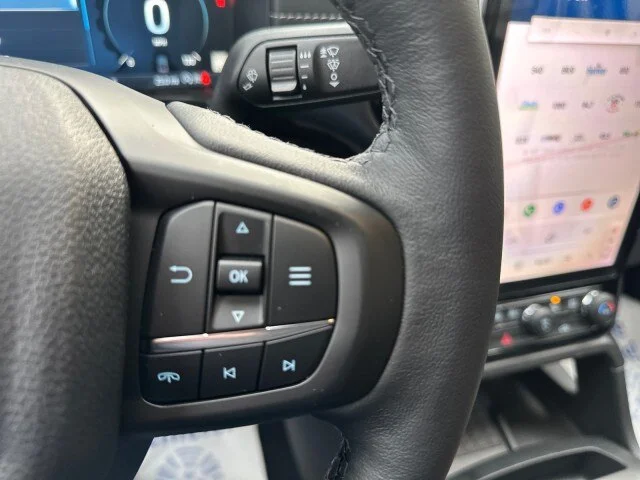 New 2024 Cactus Gray Ford LARIAT image 73