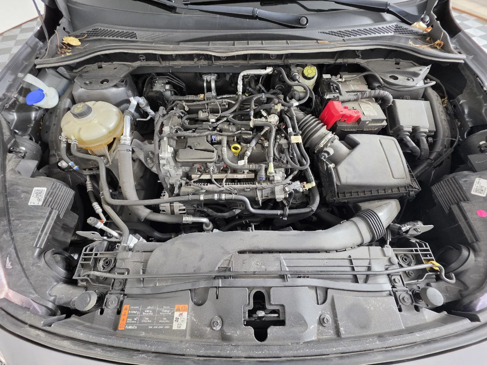 Used 2022 Carbonized Gray Ford SE image 22