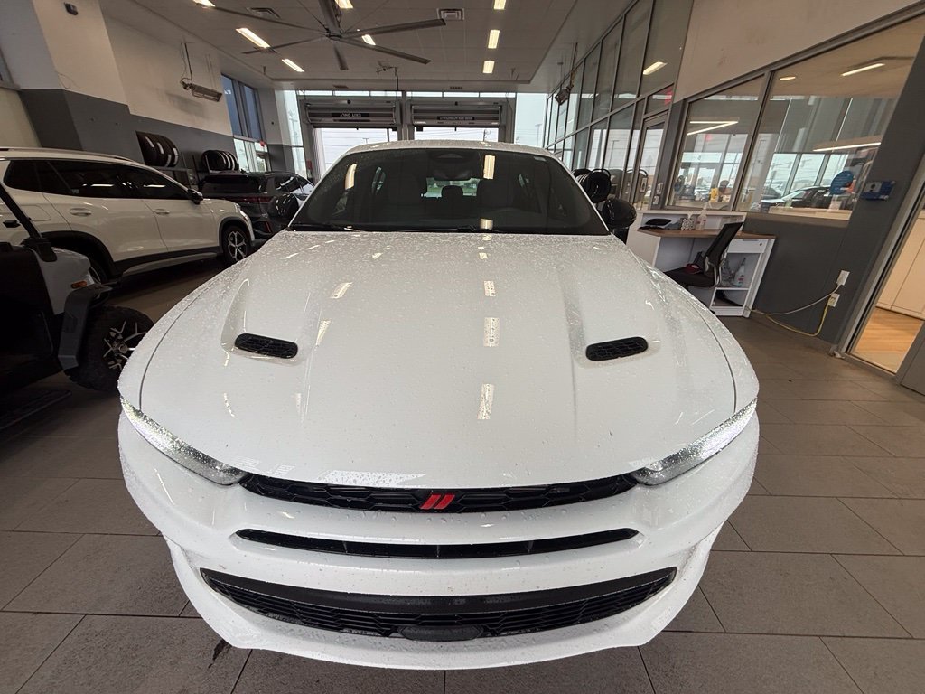 Used 2024 Q Ball Dodge GT image 8