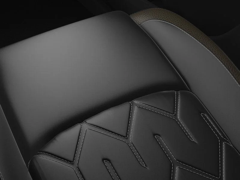 New 2026 Black Nissan Platinum image 23