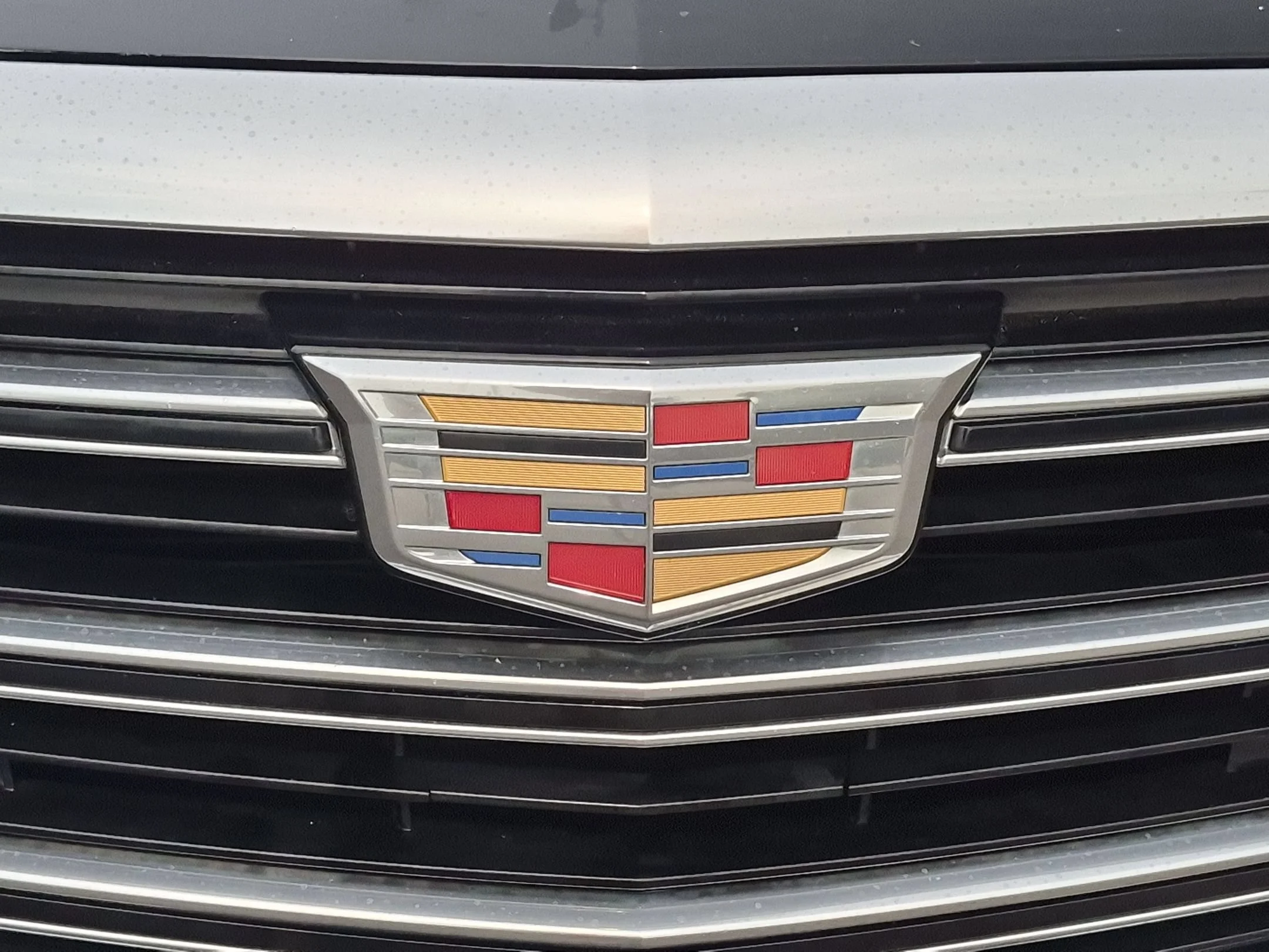 Used 2019 Black Raven Cadillac Luxury image 30