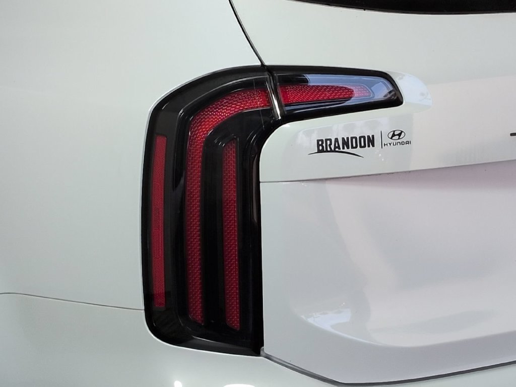 2025 Kia Telluride EX X-Pro - Photo 8