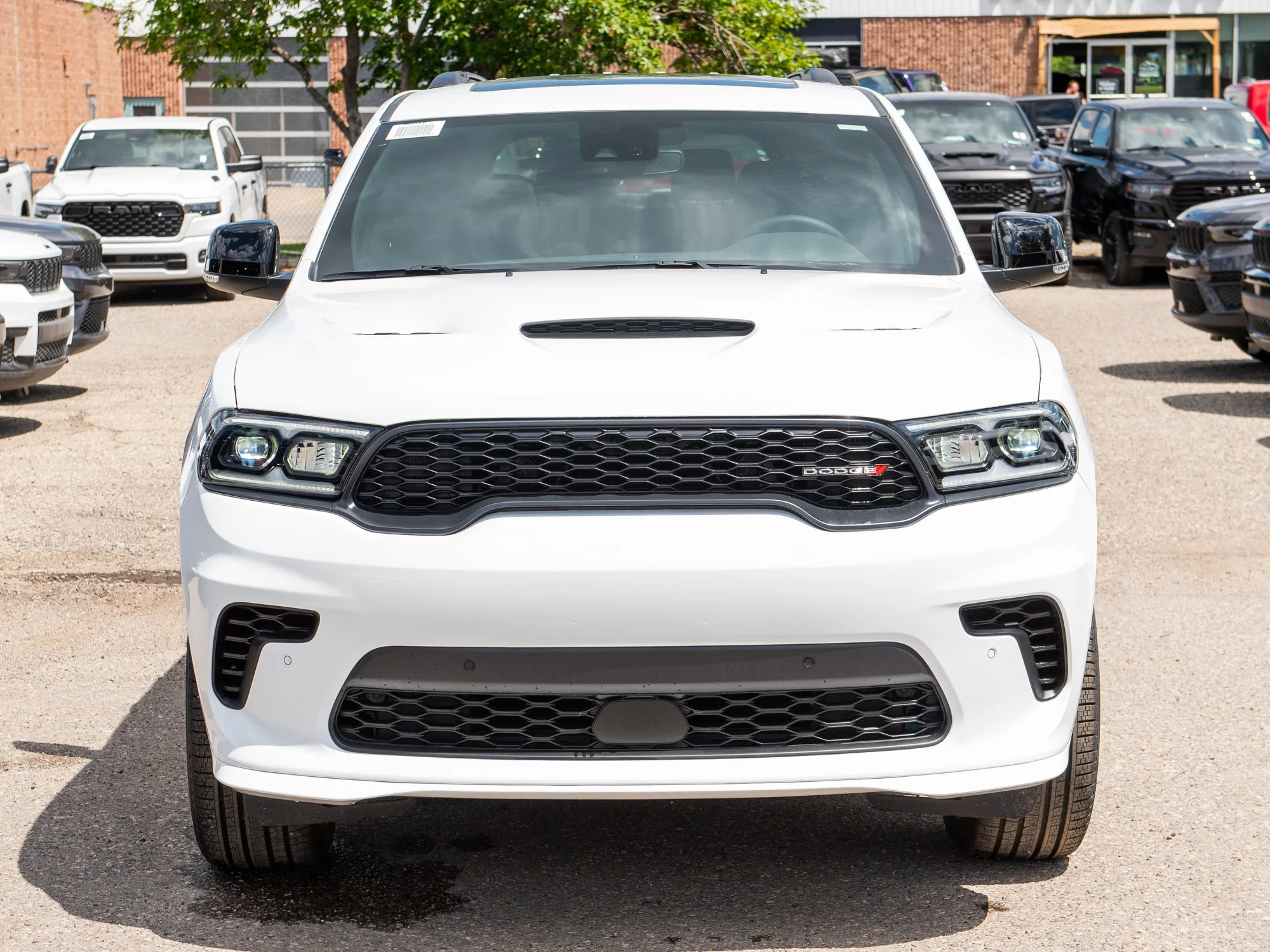 New 2026 White Dodge GT Plus* image 7