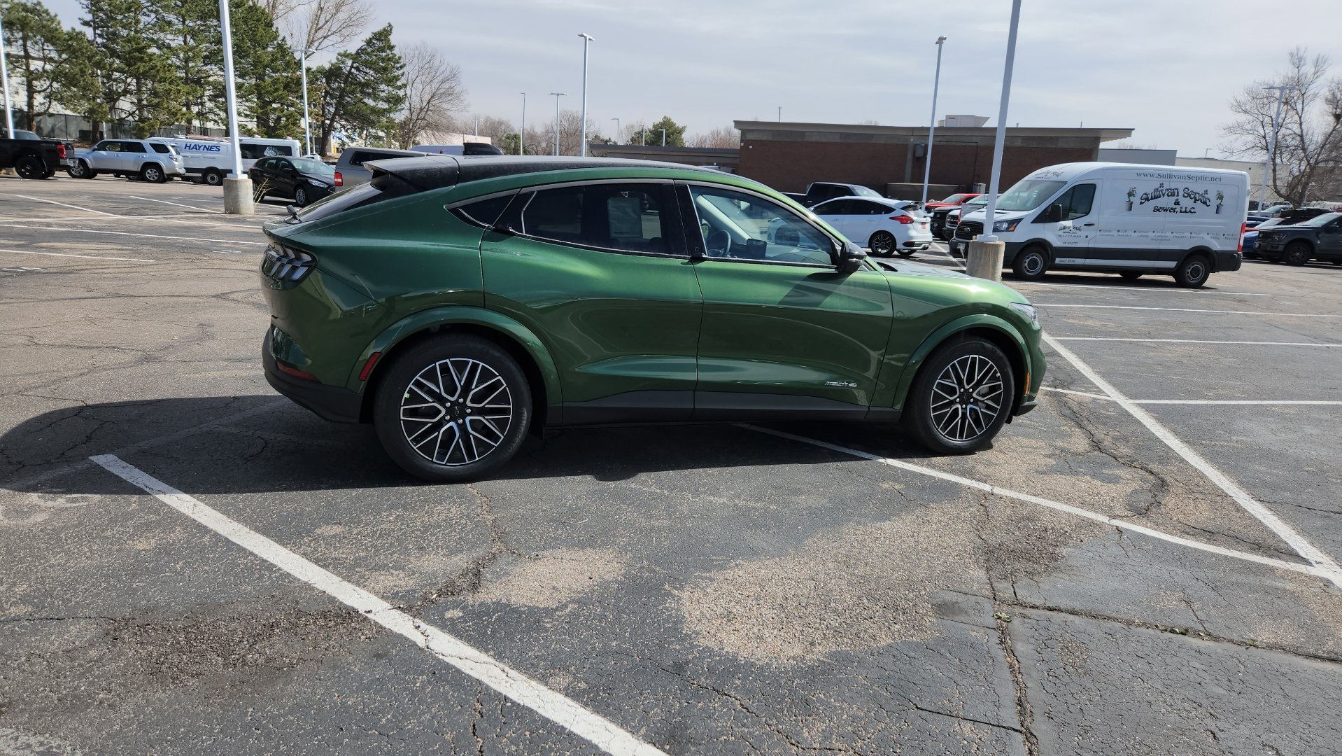 New 2026 Eruption Green Metallic Ford Premium image 14
