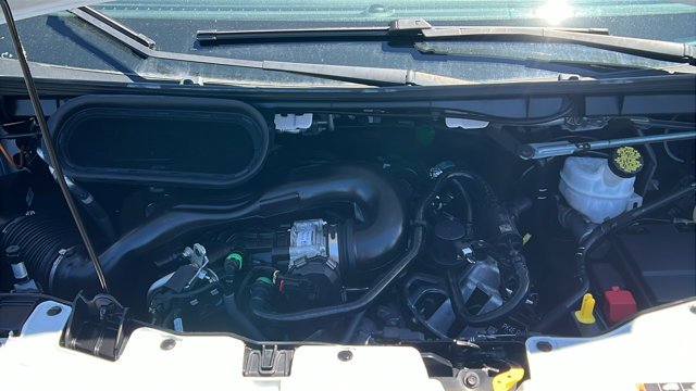 Used 2024 White Ford  image 13