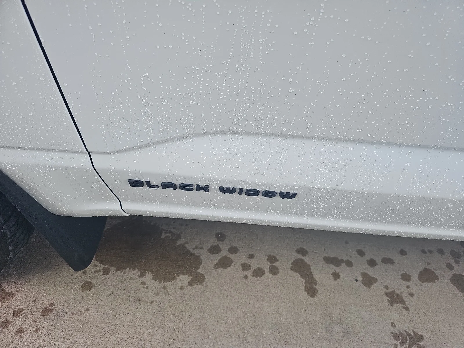 Used 2025 White Ford Black Widow Supercharged image 20