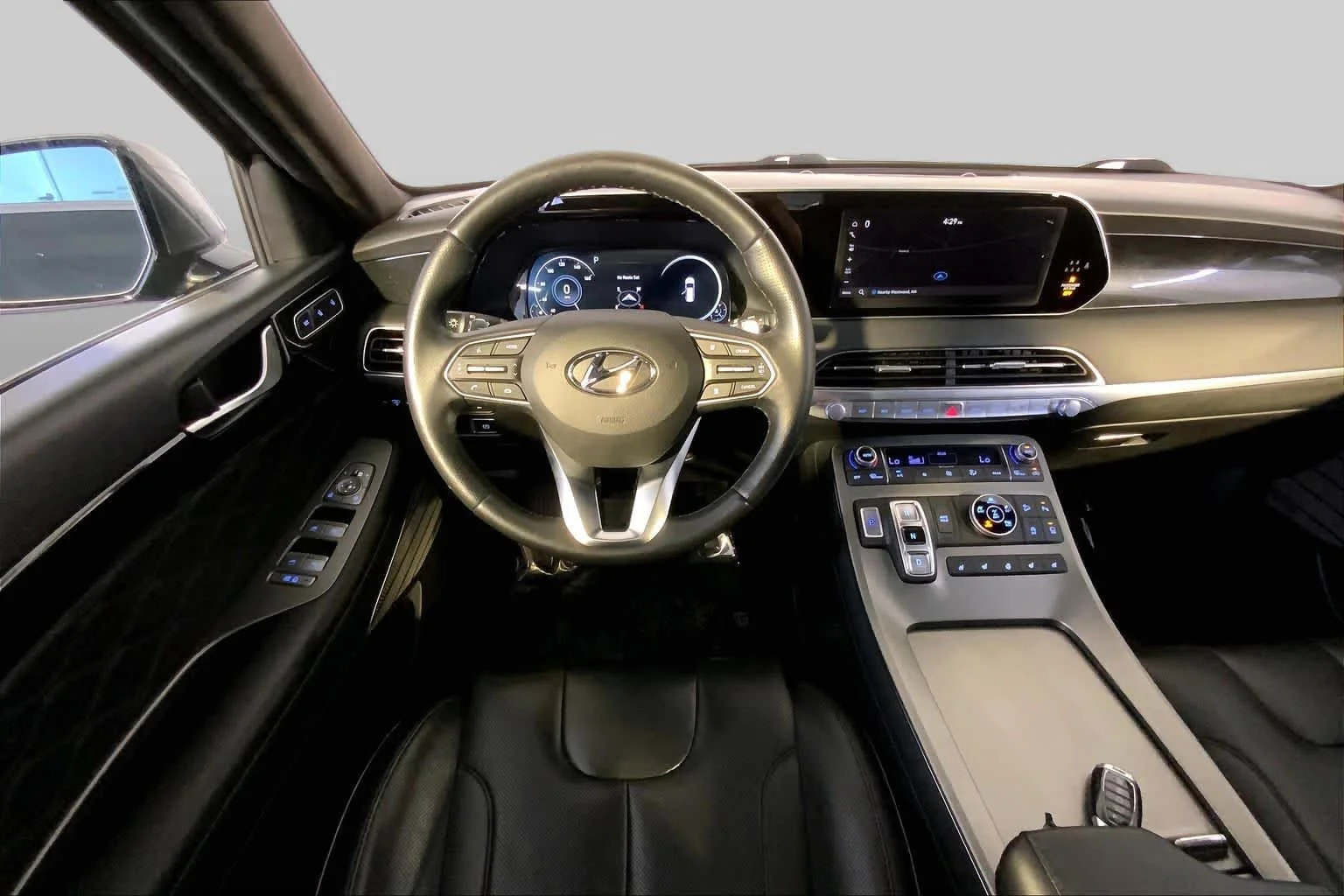 Used 2022 Rainforest Hyundai Calligraphy image 6