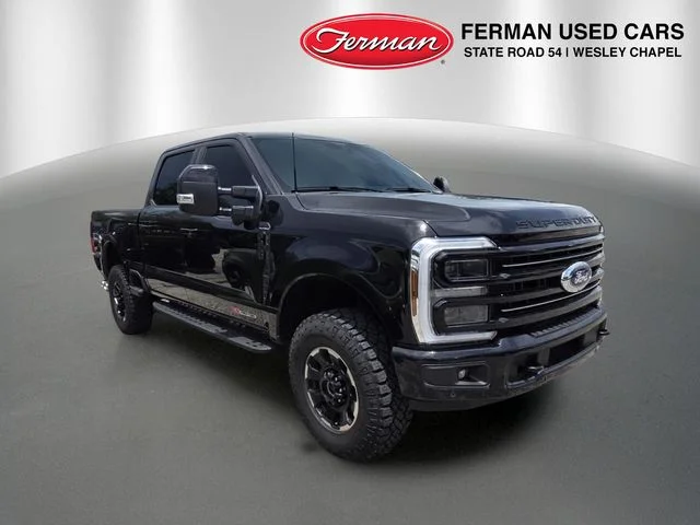 Used 2025 Black Ford Platinum image 1