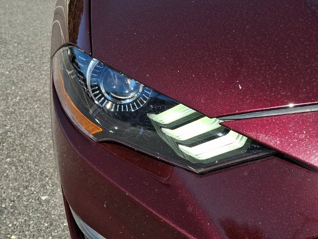 Used 2018 Red Ford GT Premium image 10