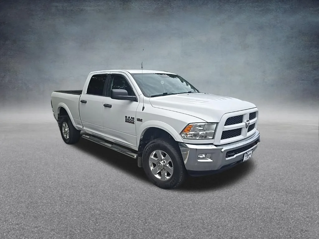 Used 2015 White Ram Outdoorsman image 7