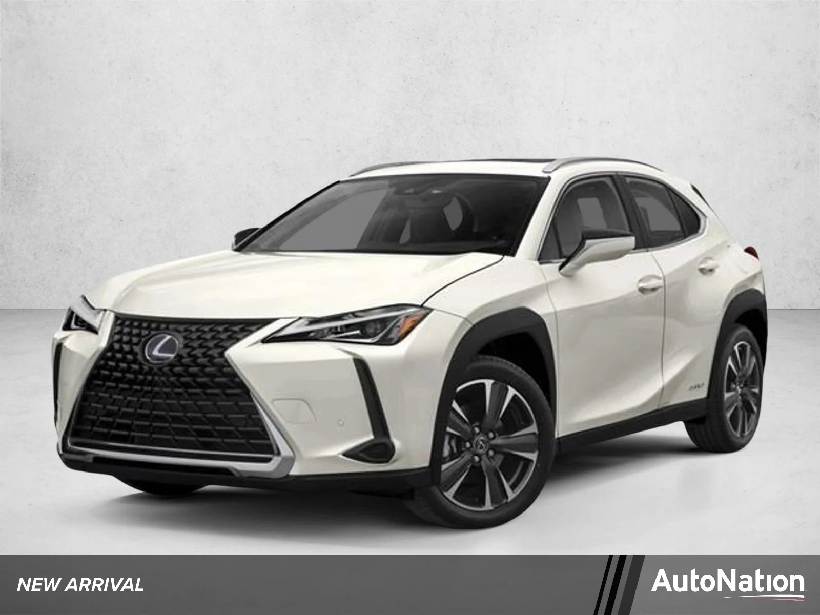 2021 Lexus UX 300h 250h AWD's photo
