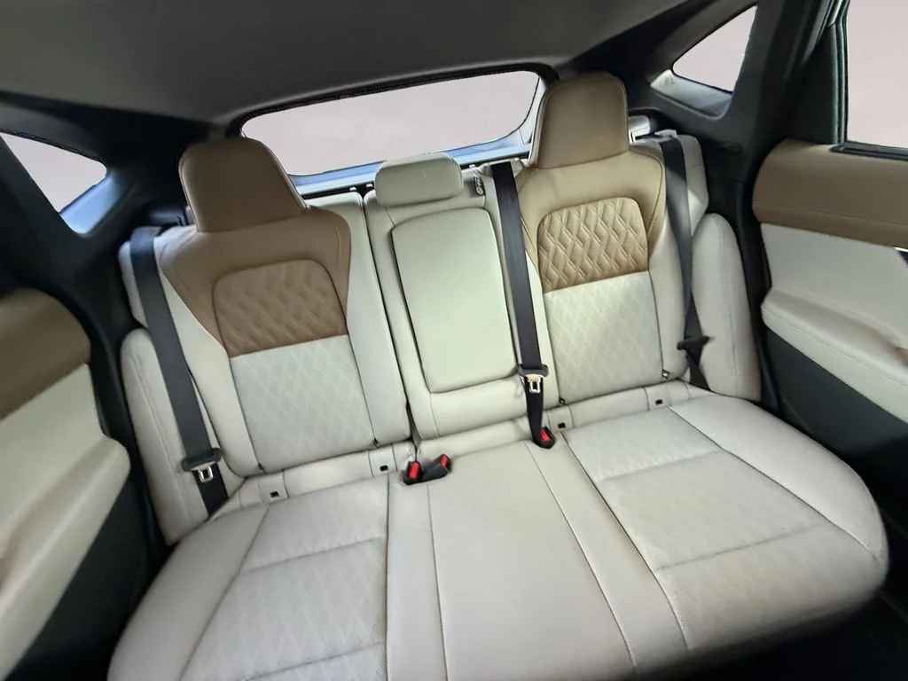 New 2026 Black Nissan Platinum image 18