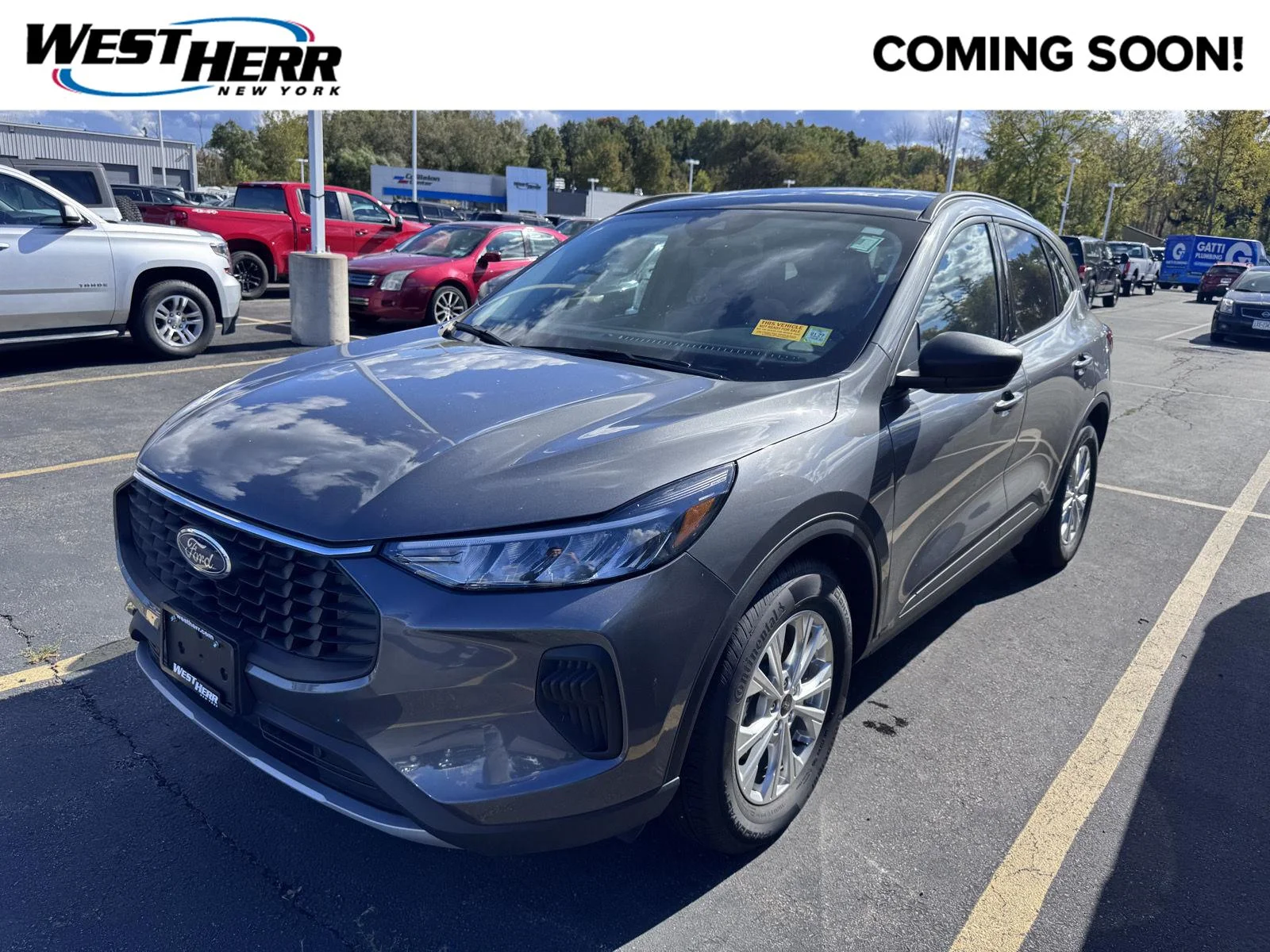Used 2025 Carbonized Gray Ford Active image 1