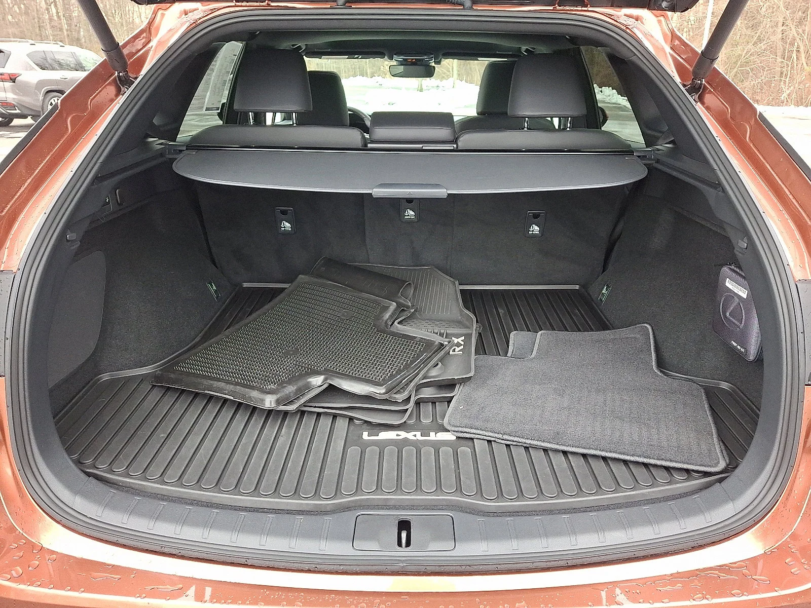2025 Lexus RX 350 - Photo 28