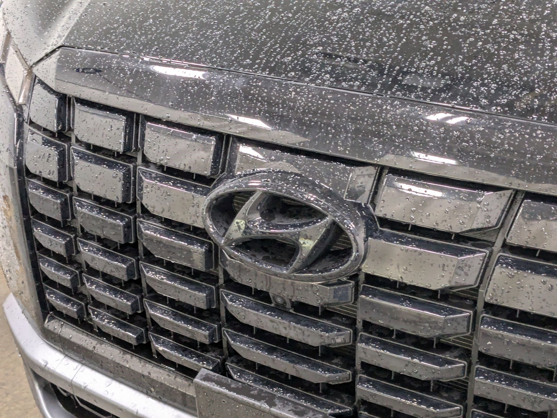 2025 Hyundai Palisade Limited - Photo 12