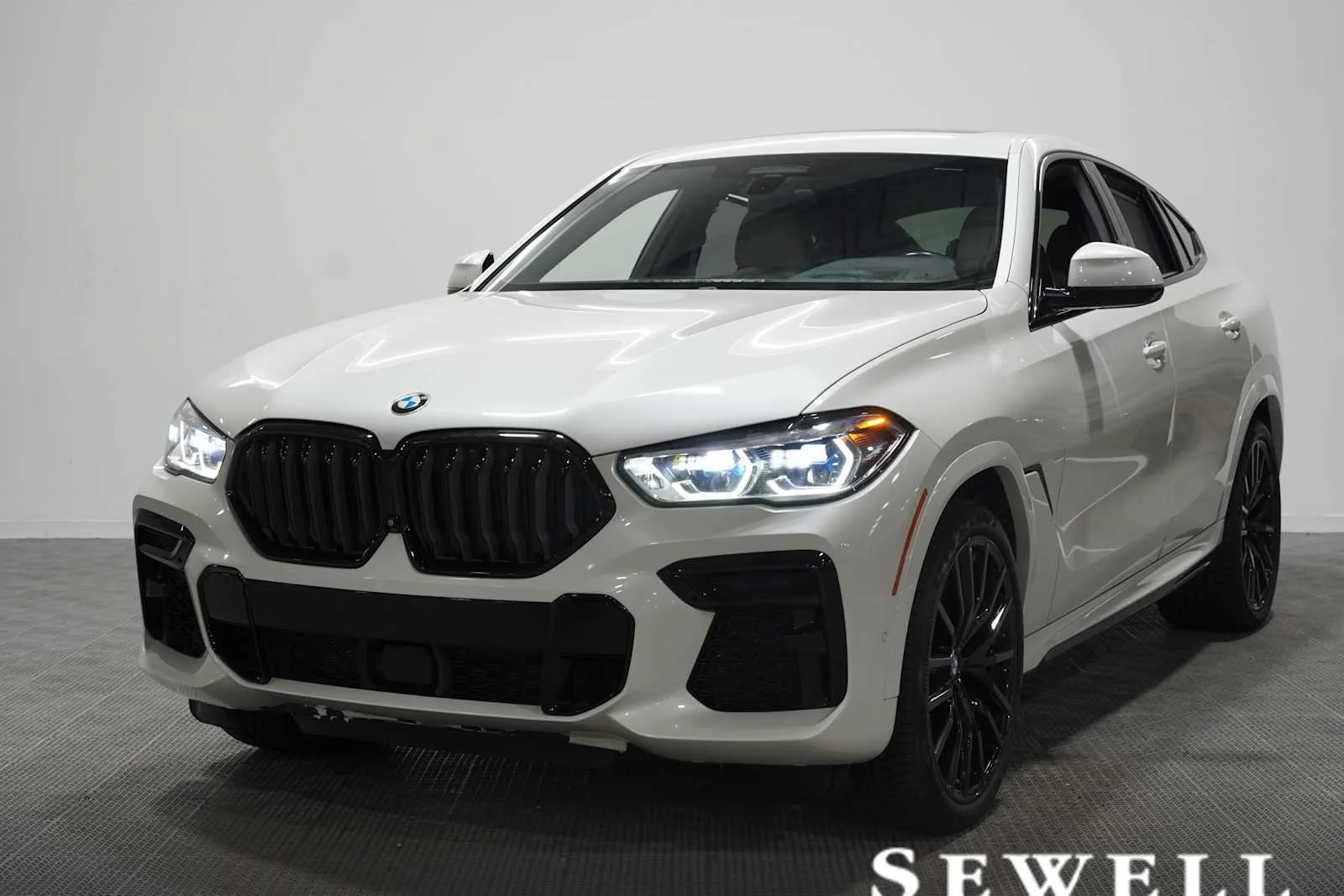 2023 BMW X6