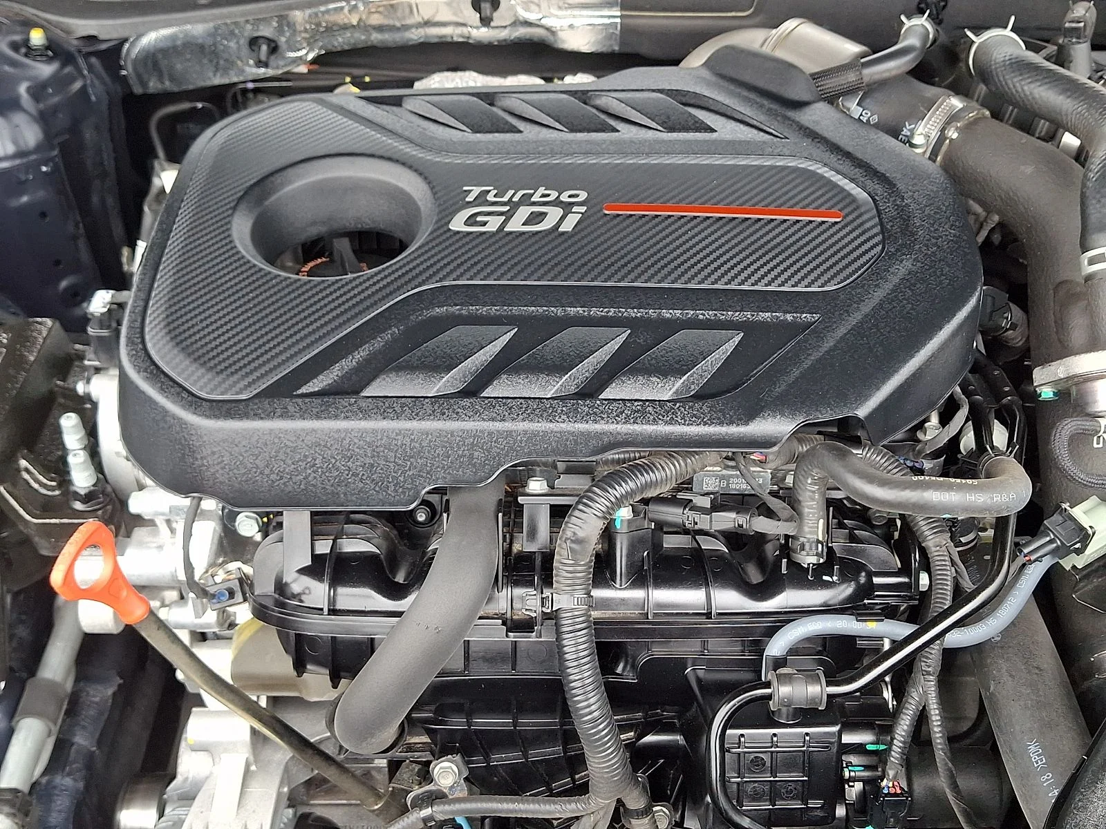 Used 2019 Blue Kia SX image 29