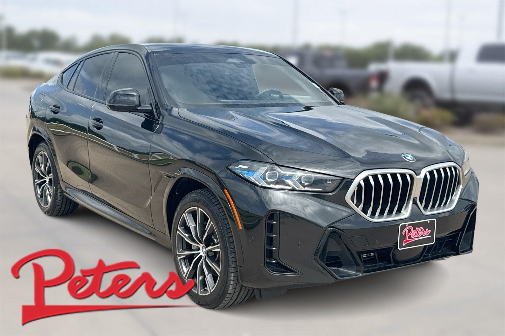 2024 BMW X6