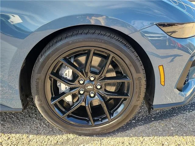 Used 2024 Grabber Blue Metallic Ford GT Fastback image 7