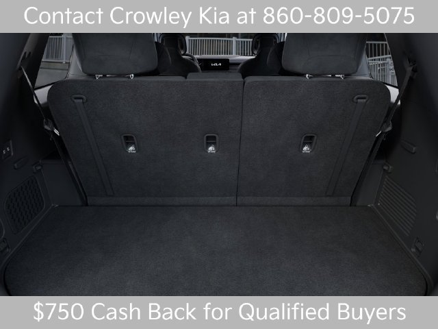 New 2027 Black Jade Green Kia X-LINE SX PRESTIGE image 19