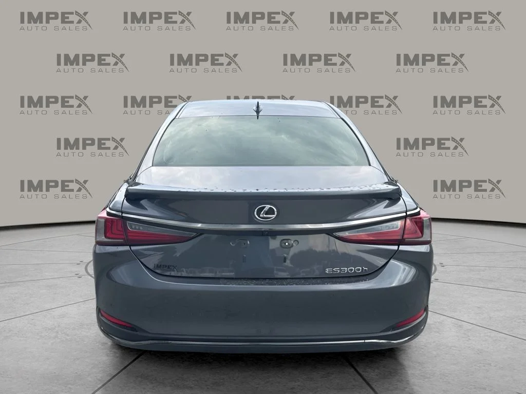 Used 2024 Gray Lexus 300h F SPORT Handling image 4