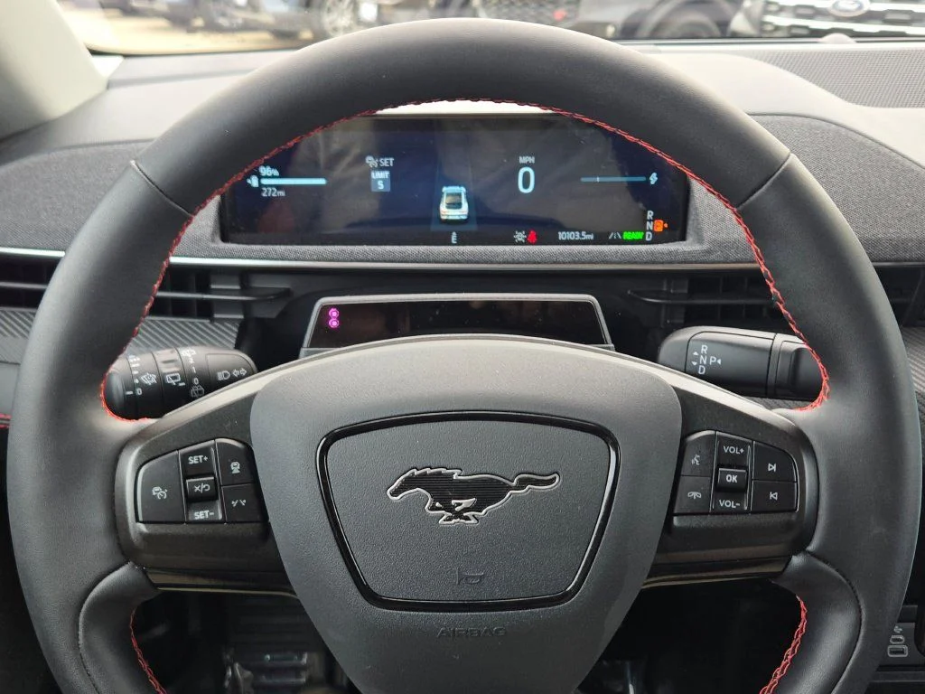Used 2025 Shadow Black Ford Premium image 33