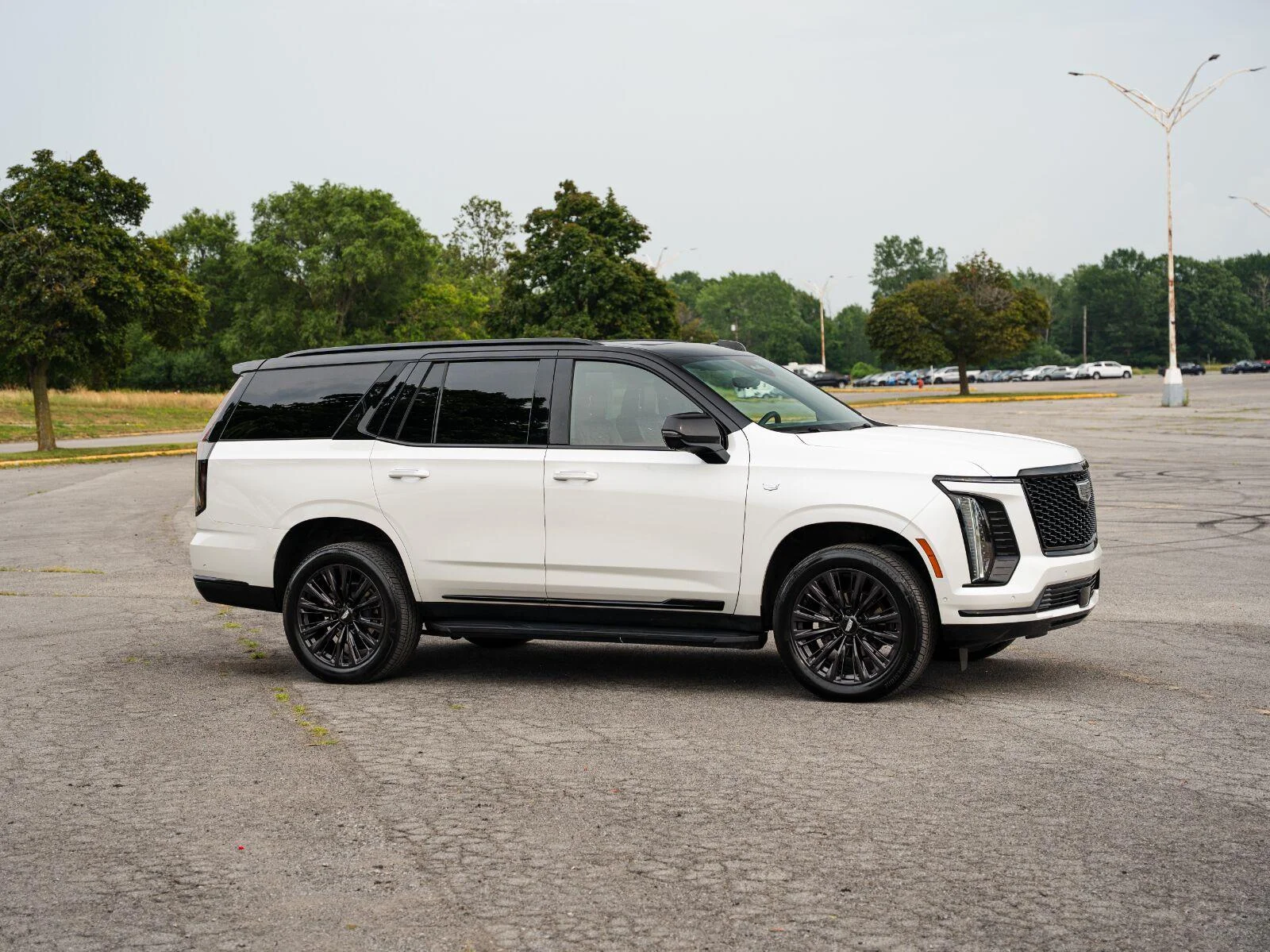 Used 2025 Crystal White Tricoat Cadillac Sport image 4