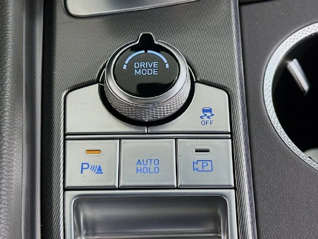 New 2026 Blue Genesis 3.3T Sport Prestige image 20