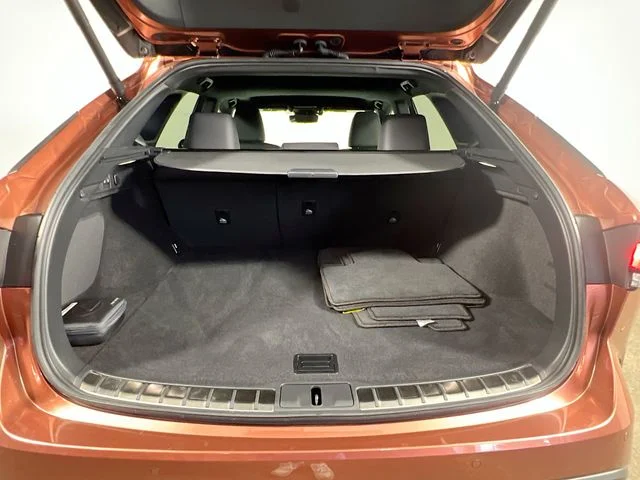 2024 Lexus RX Hybrid 350h - Photo 28