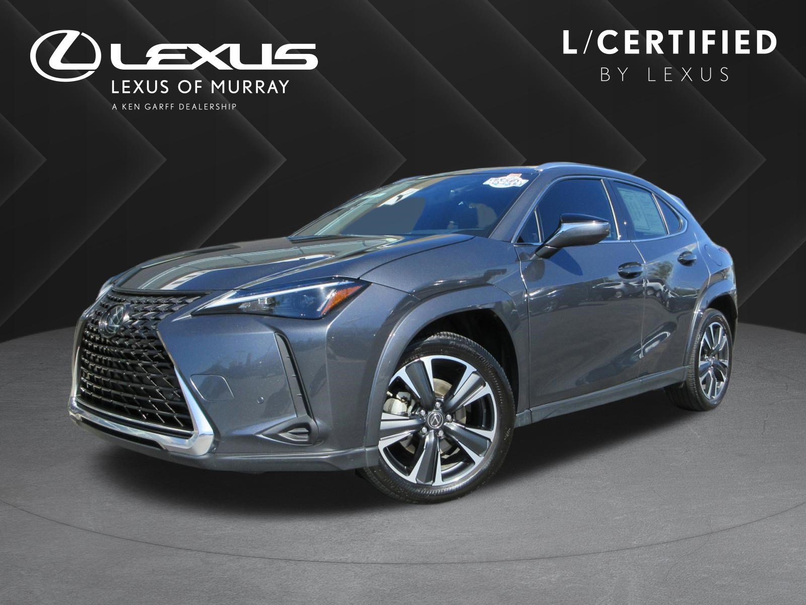 2024 Lexus UX 300h 250h Premium AWD's photo