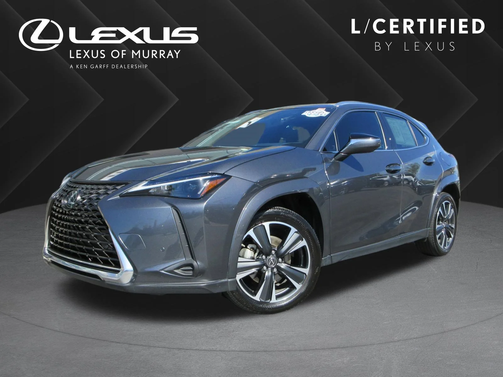 2024 Lexus UX 300h 250h Premium AWD's photo