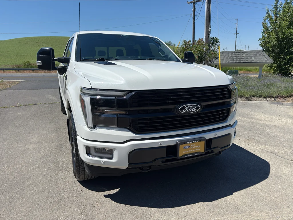 Used 2025 Star White Ford Platinum image 4
