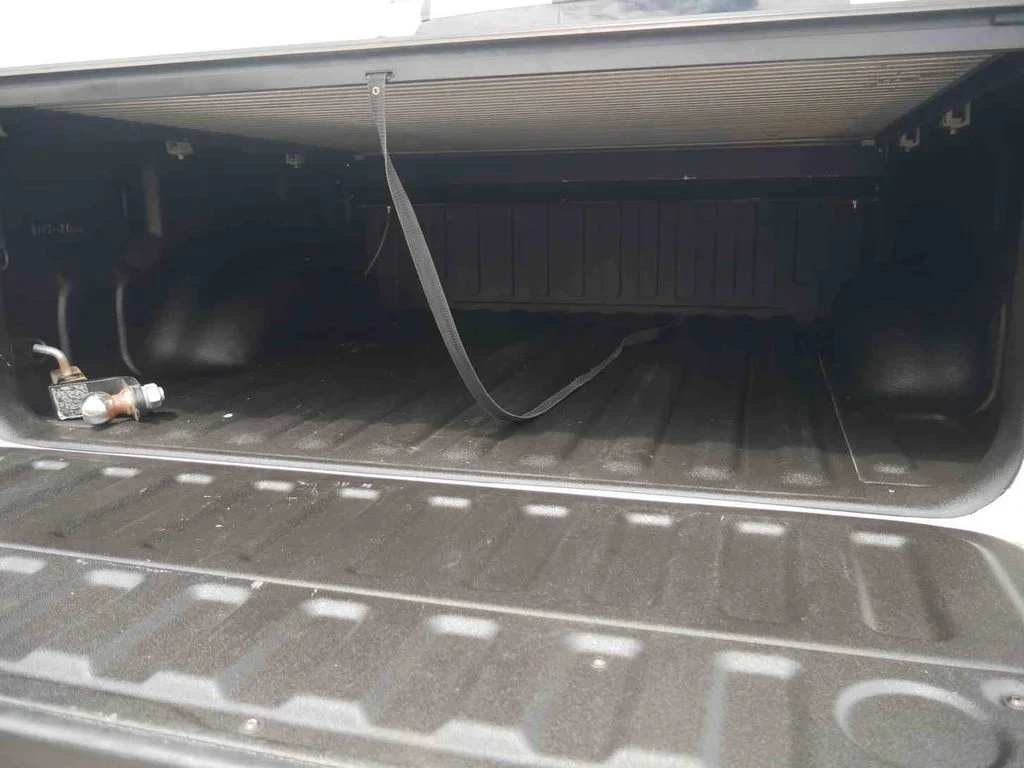Used 2021 White Ram Limited image 10