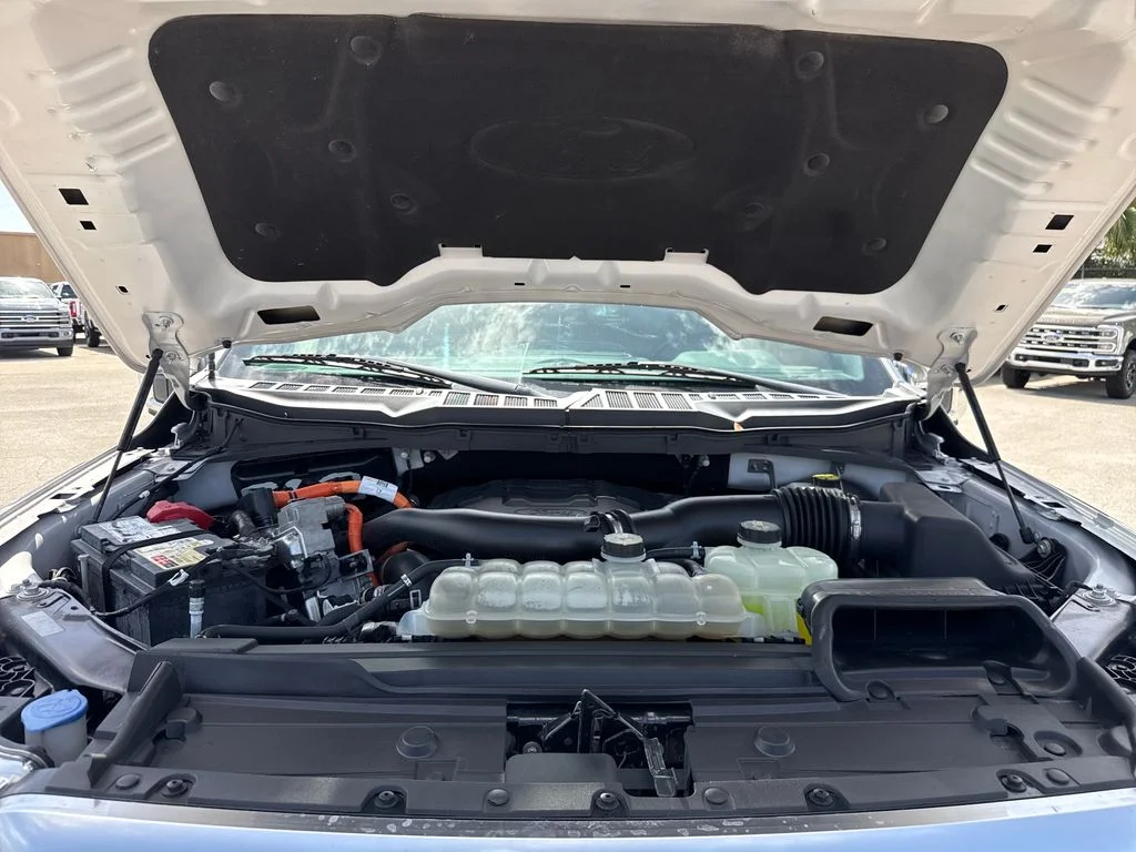 Used 2021 Silver Ford Platinum image 33