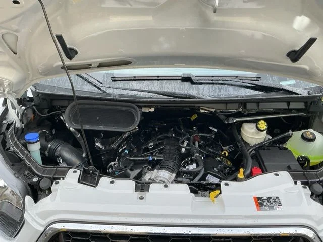 New 2026 Oxford White Ford Base image 27