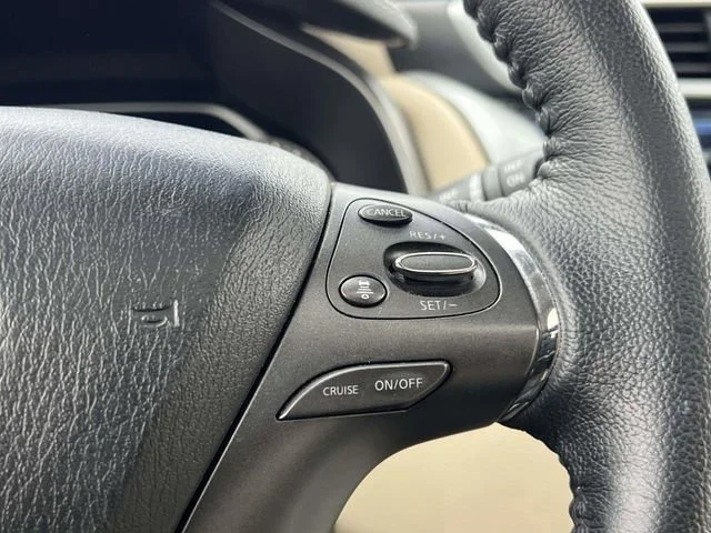 View 31