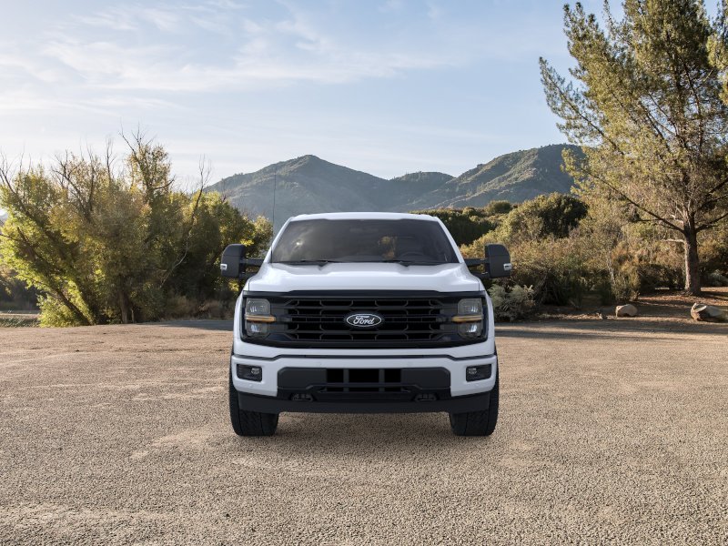 2025 Ford F-150 XLT - Photo 28