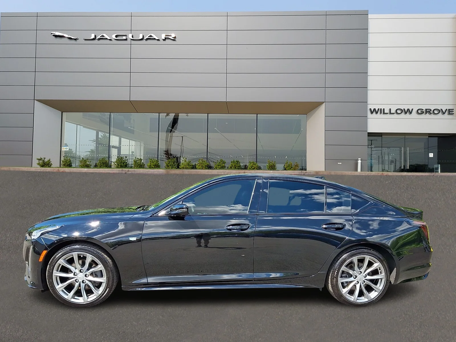 Used 2023 Black Raven - GBA Cadillac Sport image 6