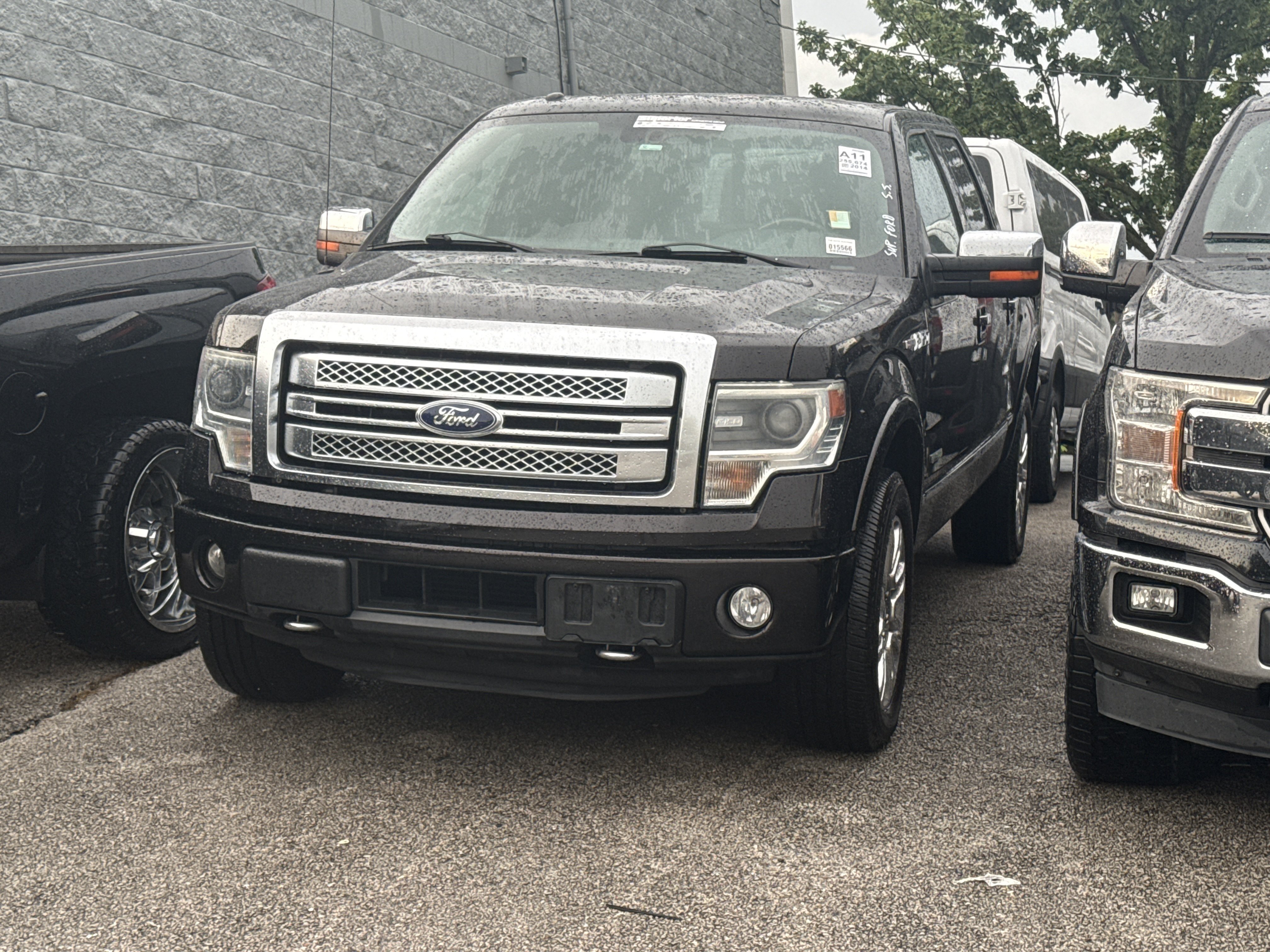 Used 2014 Brown Ford Platinum image 3