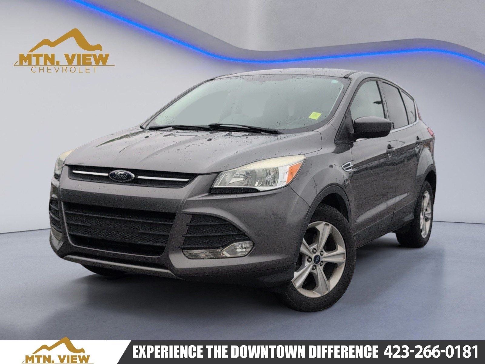 2014 Ford Escape SE's photo