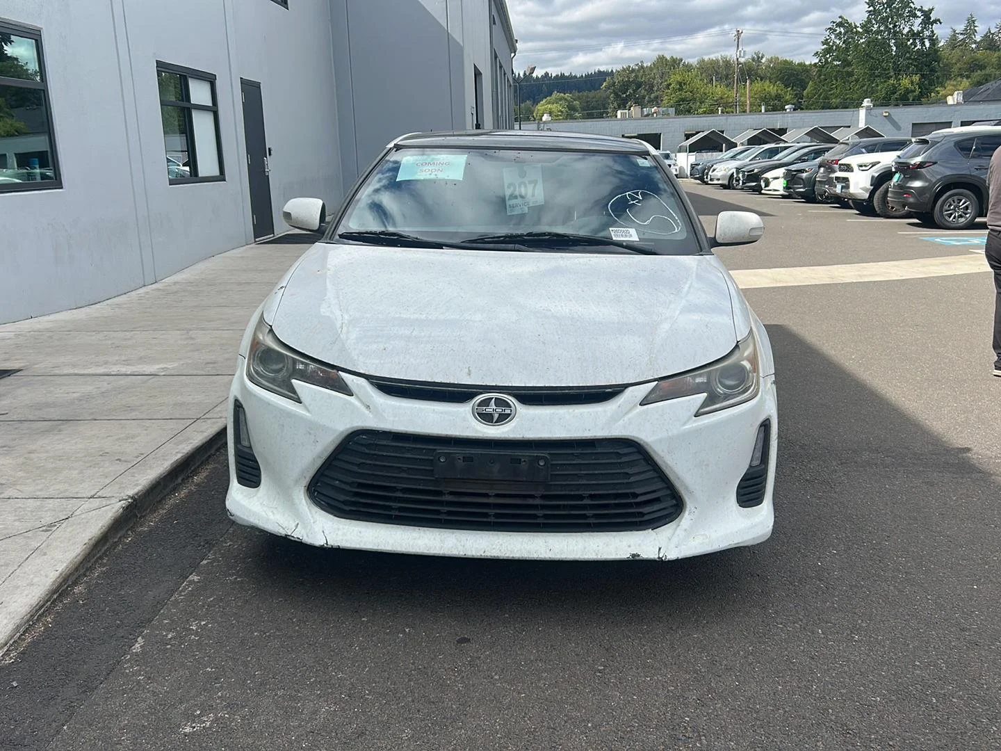 Used 2014 Super White Scion  image 5