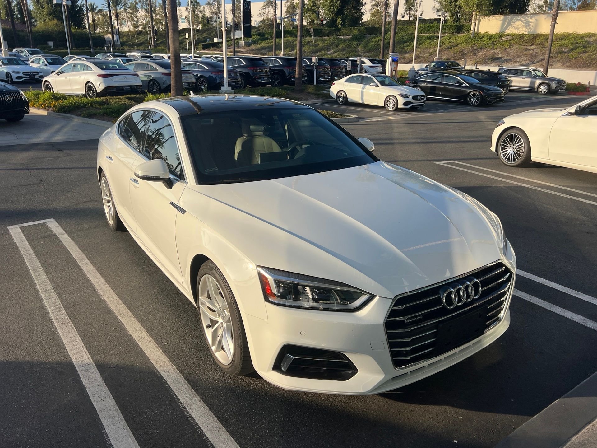 Used 2019 White Audi Premium Plus image 3
