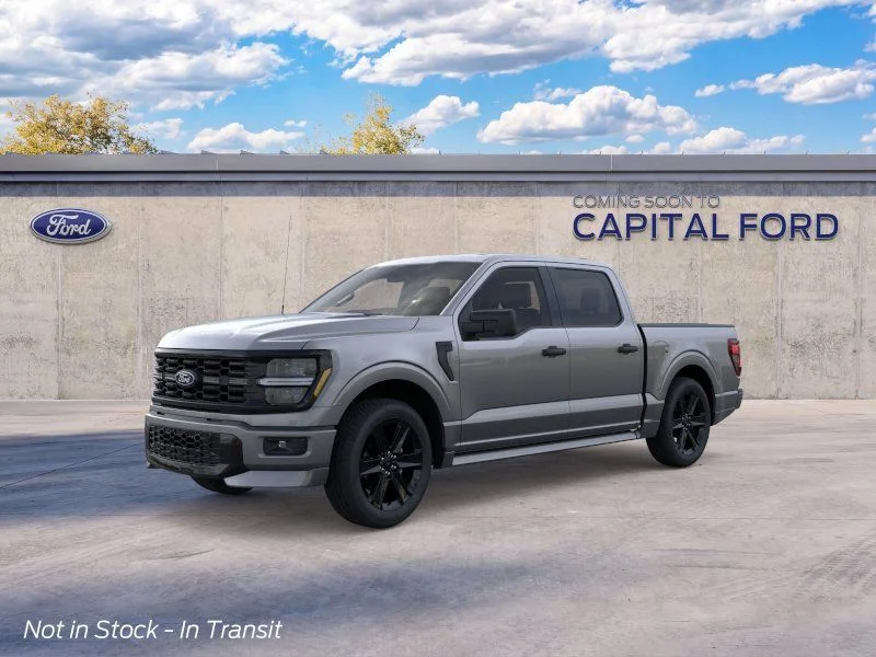 New 2026 Gray Ford STX image 3