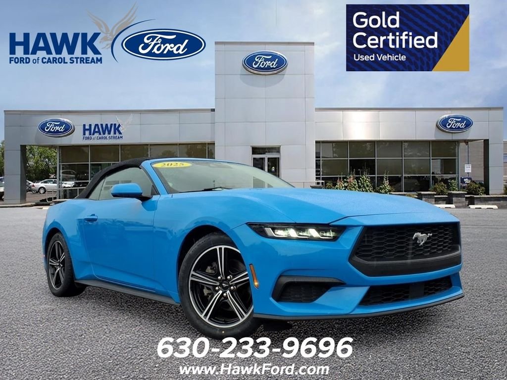 Used 2025 Blue Ford EcoBoost Premium image 1