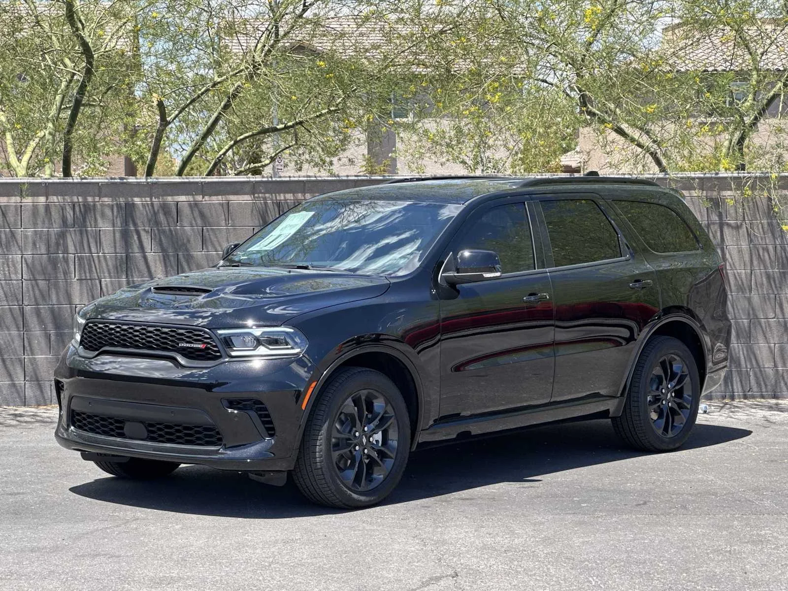 New 2026 Diamond Black Clear-Coat Exterior Paint Dodge GT Plus image 4