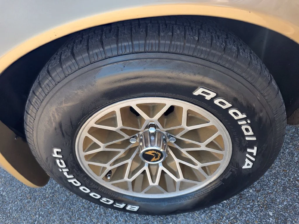 Used 1979 Gold Pontiac Trans Am image 11