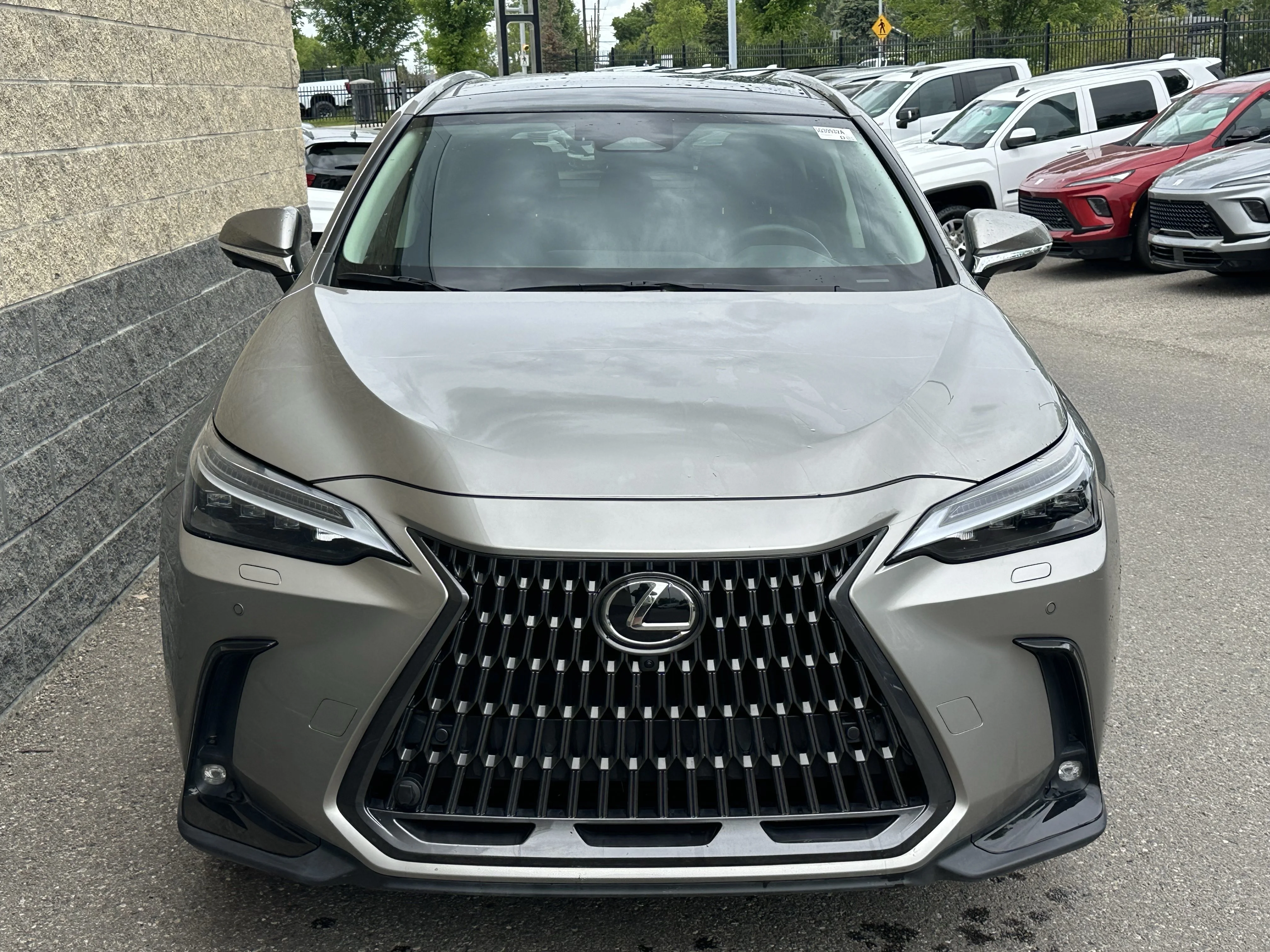 Certified Used 2024  Lexus NX 350 image 2