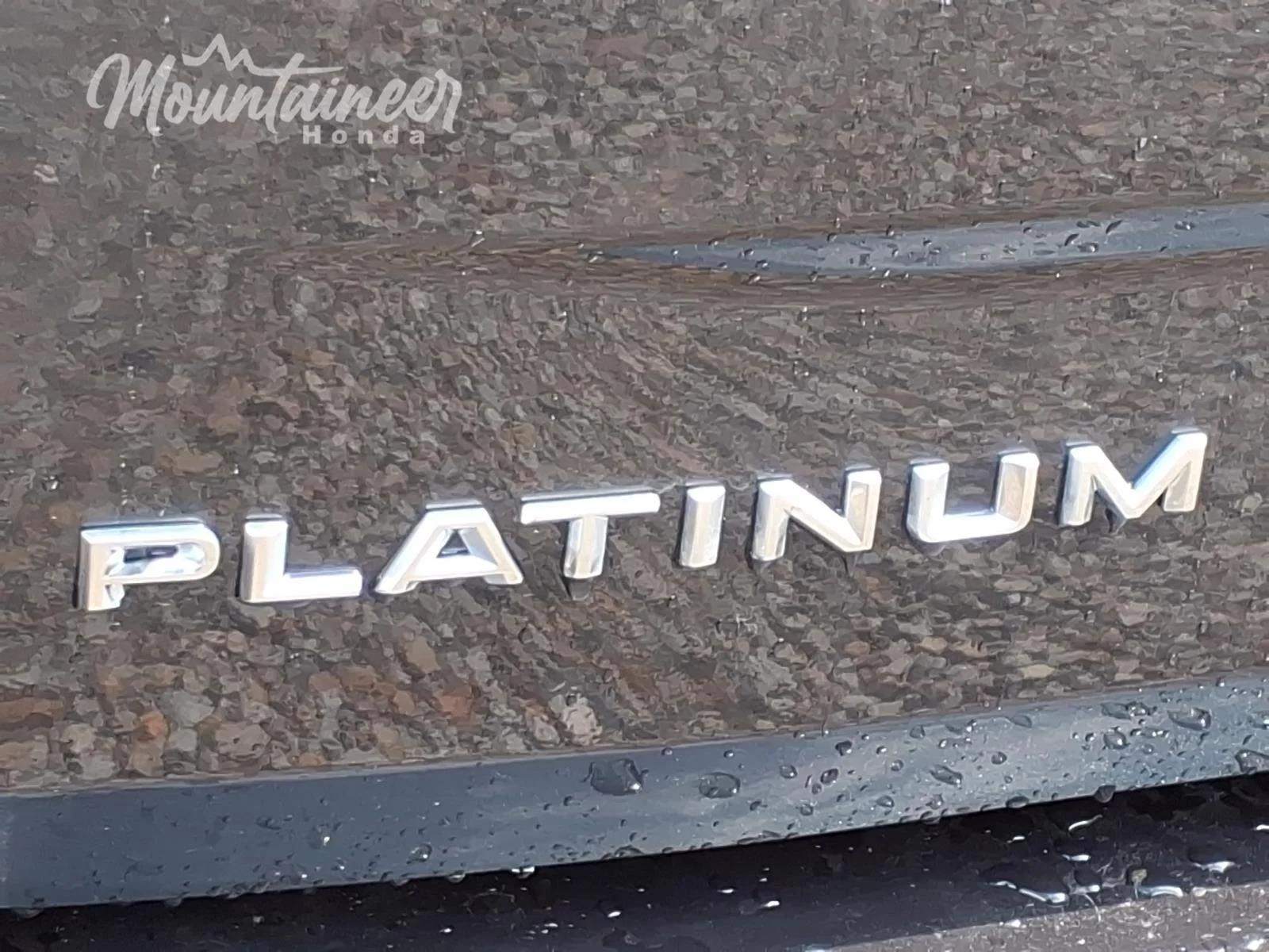 Used 2025 Dark Matter Gray Ford Platinum image 9