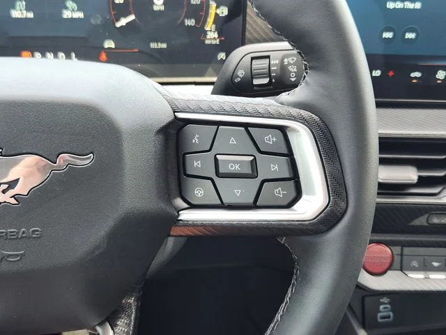 New 2026 Shadow Black Ford EcoBoost® Fastback image 29